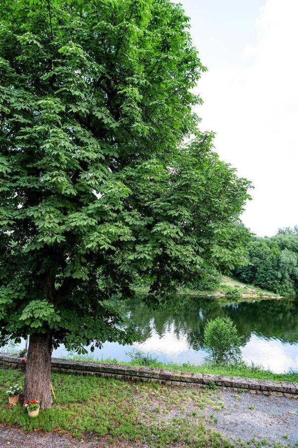 Haus Seeblick Dippoldiswalde Dış mekan fotoğraf
